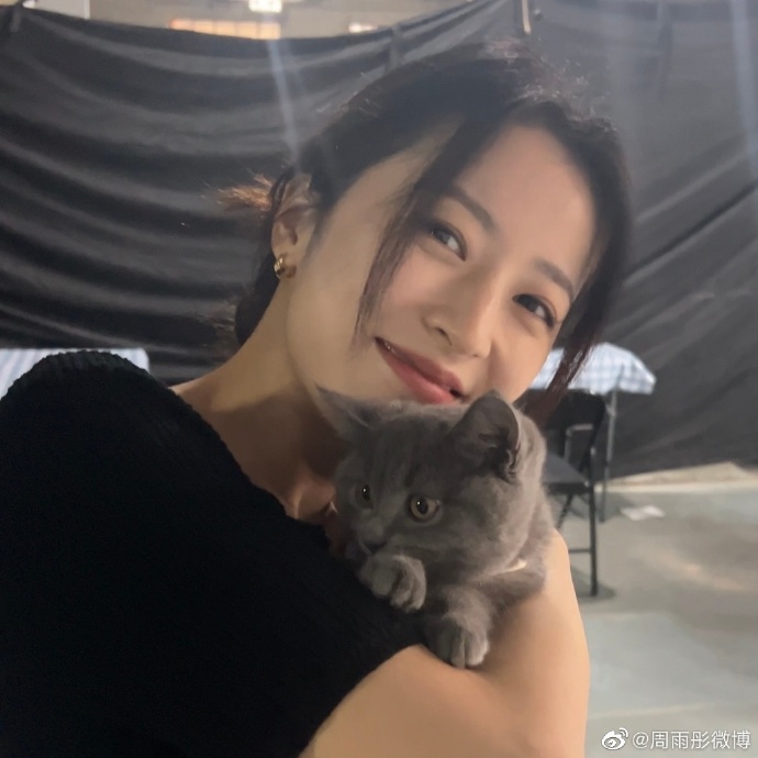 足球新版平台出租